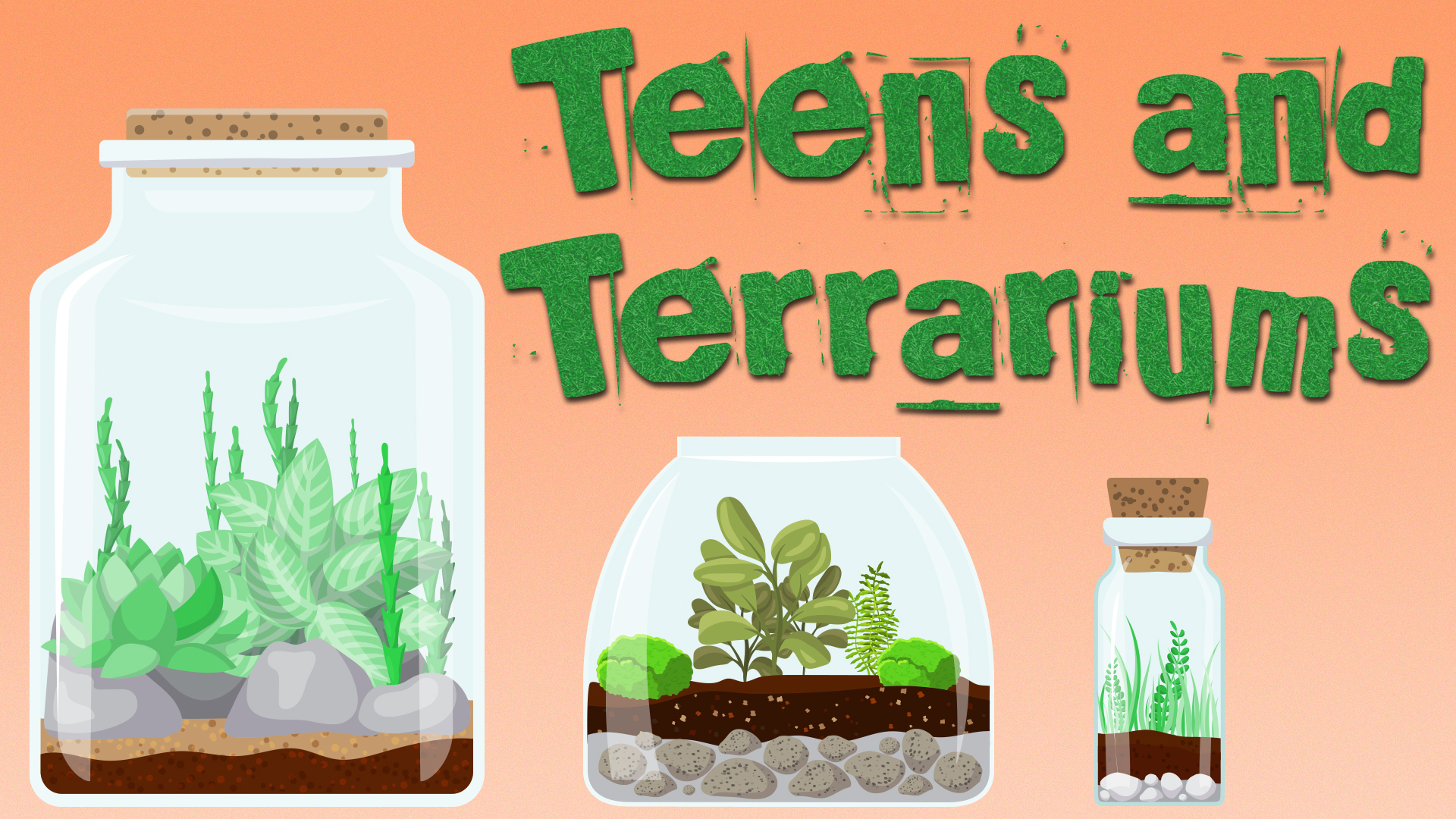 Image reads "Teens and Terrariums" against a rust colored background. Three different size terrariums are under the title filled with various plants.