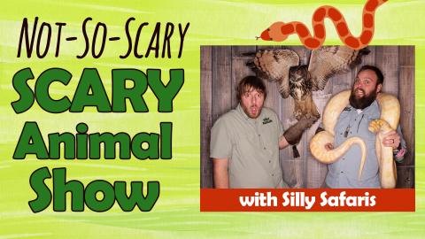 Image reads "Not-So-Scary SCARY Animal Show" against a green background. To the right of the title there is a picture of the presenters, Silly Safaris. A graphic of an orange snake is along the top of the picture.