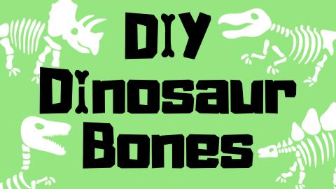 Image reads "DIY Dinosaur Bones" against a green background with white dinosaur bones and skeletons scattered around the image. 