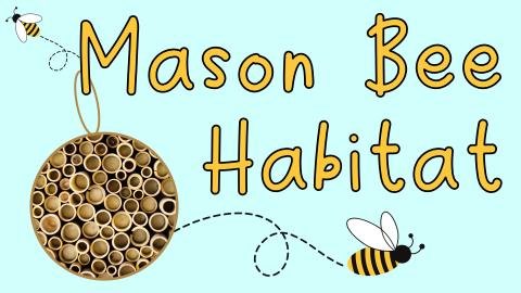 Image reads "Mason Bee Habitat" against a blue background. A bamboo habitat is to the bottom left of the title. Two bees are flying around the image. 