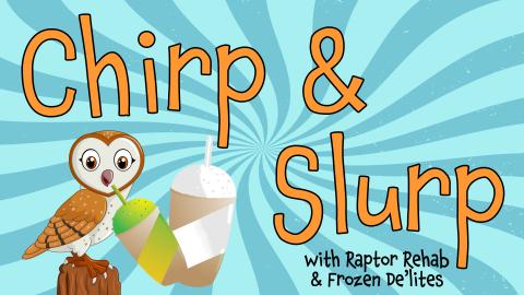 Image reads "Chirp & Slurp with Rehab Raptors & Frozen De'lites" against a sunburst background. An owl drinking a slushie is under the title.