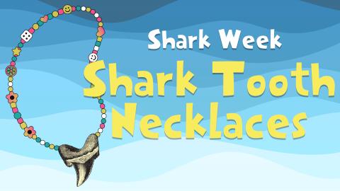 Image reads "Shark Week Shark Tooth Necklaces" against a wavy background. A beaded shark tooth necklace is to the left of the title.