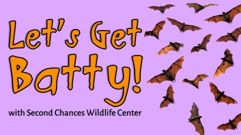 Image reads "Let's Get Batty! with Second Chances Wildlife Center" against a purple background. To the right of the title are fruit bats flying around.