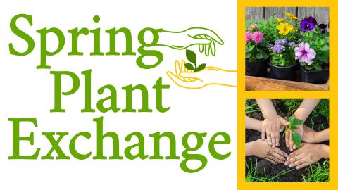 Image reads "Spring Plant Exchange" against a white background with two hands exchanging a plant beside the word spring. To the right of the title is a yellow rectangle with two pictures of plants inside the rectangle.