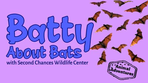 Image reads "Batty About Bats with Second Chances Wildlife Center" against a purple background. To the right of the title are bats flying. 