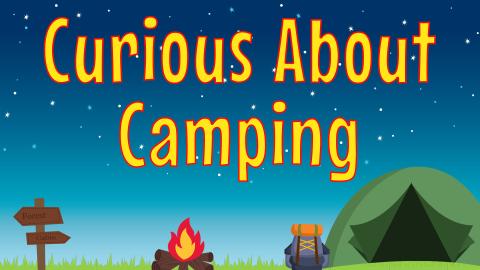 Image shows a campsite at nightttime with the words "Curious About Camping" in yellow over the backdrop of the starlit sky.