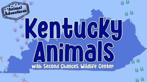 Image reads "Kentucky Animals with Second Chances Wildlife Center" against a blue background. A Kentucky silhouette is behind the title and animal tracks are scattered around the image.
