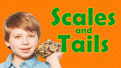 Image reads "Scales and Tails" against an orange scaly background. To the left of the title is a young boy holding a snake.
