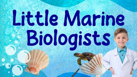 Image reads "Little Marine Biologists" against a blue background. To the right of the title is a seashell with a sea turtle inside of it and a boy in a lab coat. To the left of the title is a whole seashell and bubbles.