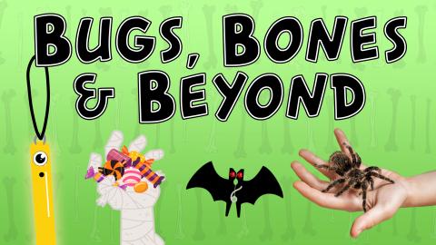 Image reads "Bugs, Bones & Beyond" against a green background. Under the title are an alien glowstick necklace, a mummy hand holding candy, a clothespin bat craft, and a hand holding a rose hair tarantula.