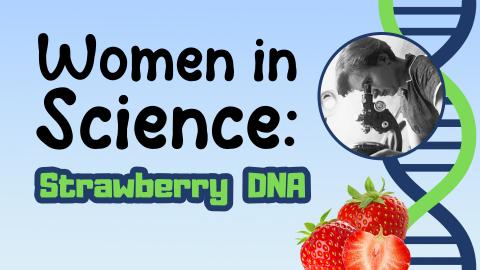 Image reads "Women in Science" in black text with "Strawberry DNA" printed beneath in green text with a dark blue outline. On the right side of the image includes a dark blue and green DNA strand, semi-realistic strawberries, and a black and white photo of a female scientist looking in a microscope