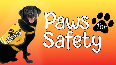 Image reads "Paws for Safety" against a gradient background and a dog from the "Kasey" program is to the left of the title. 