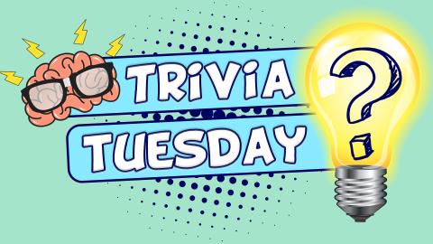 Image reads "Trivia Tuesday" against a mint green background. To the left of the title is a brain wearing glasses and to the right of the title is a light bulb with a question mark in it. 